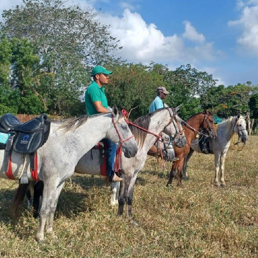 Fazenda Hotel Candeal Conceicao de Jacuipe 외부 사진