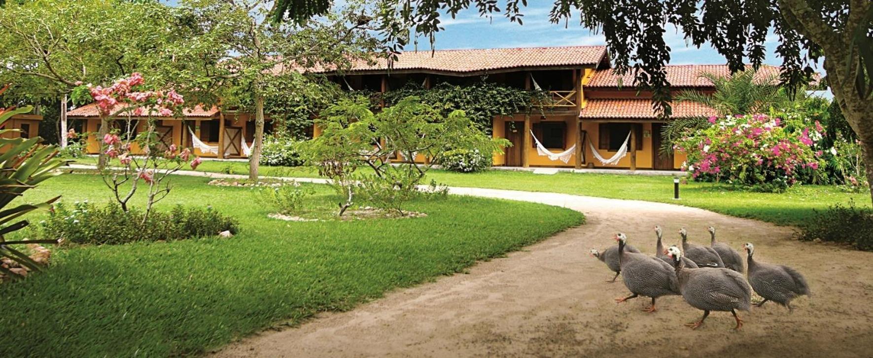 Fazenda Hotel Candeal Conceicao de Jacuipe 외부 사진