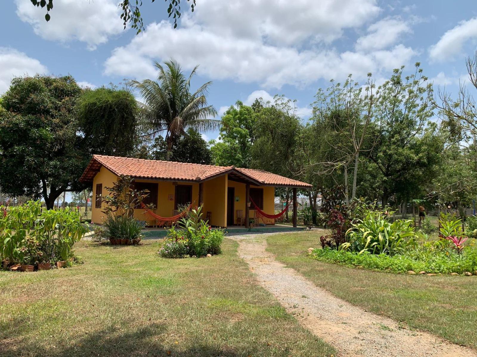 Fazenda Hotel Candeal Conceicao de Jacuipe 외부 사진